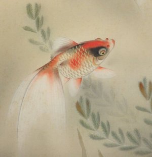 PaperFish