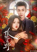 Mei Gui Zhi Ye Chinese Drama(2025) photo