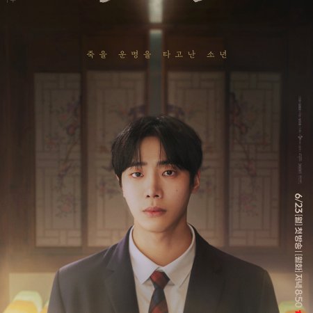 Head over Heels (2025)