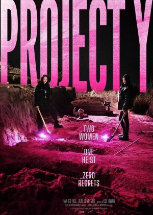 Project Y (2025) poster
