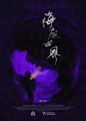 What You Can't See (2023) poster