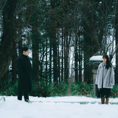 Your Taste (2025)