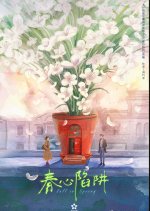 Fall in Spring Chinese Drama(0000) photo