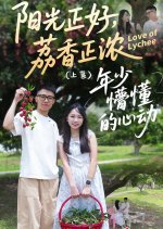 Love of Lychee Chinese Drama(2025) photo