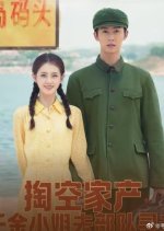 Tao Kong Jia Chan, Qian Jin Xiao Jie Qu Hai Dao Xun Fu Chinese Drama(2025) photo