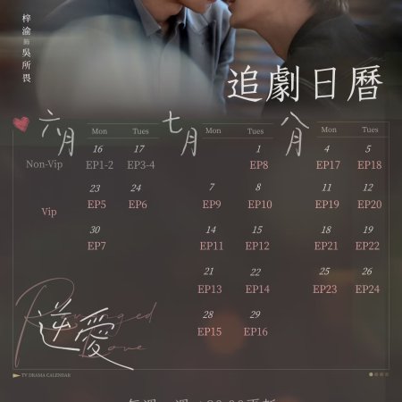 Revenged Love (2025)