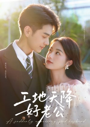 A Suddenly Appearing Good Husband (2025) poster