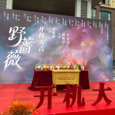 Ye Qiang Wei ()