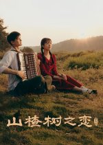 When the Hawthorn Blooms