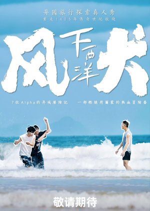 Wind Chaser () poster