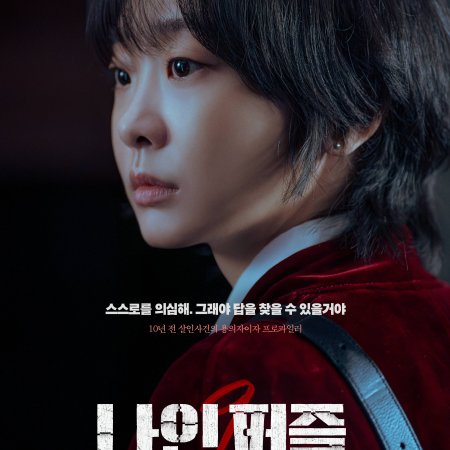 Nine Puzzles (2025)