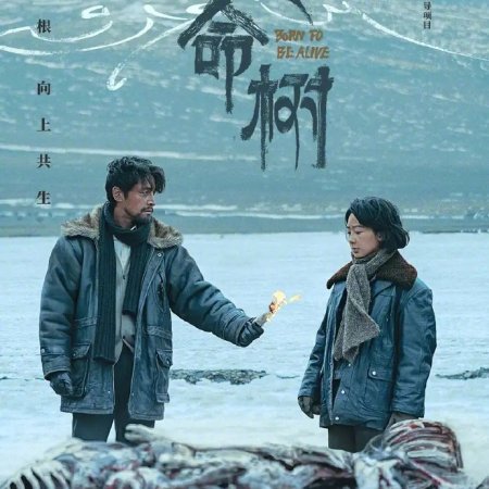 Born to Be Alive (2026)