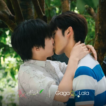 Secrets Happened on the Litchi Island (Movie Version) (2025)