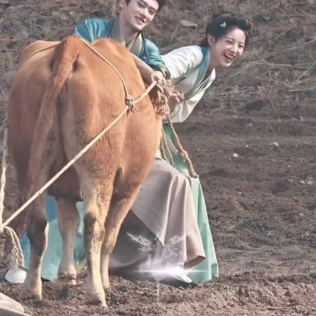 Where the Mask Ends ()