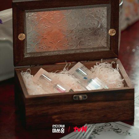 Undercover Miss Hong (2026)