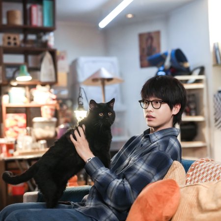 No Pain No Gain (2026)