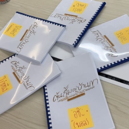 When Oranges Fall ()