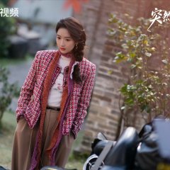 Zai Jian Ye You Shu Chinese Drama(2026) photo