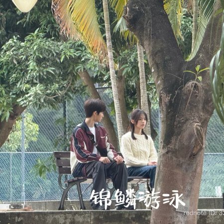 Sunshine through the Rain ()