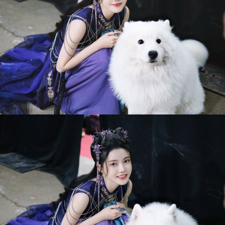The Blossoming Love (2025)