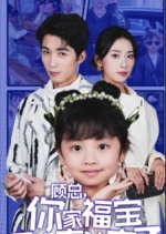 Mr. Gu, Your Child Is Here Chinese Drama photo