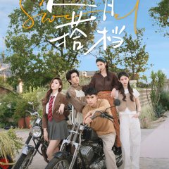 Sweet Chinese TV Program(2024) photo