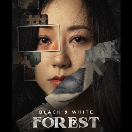 Black & White Forest (2024)