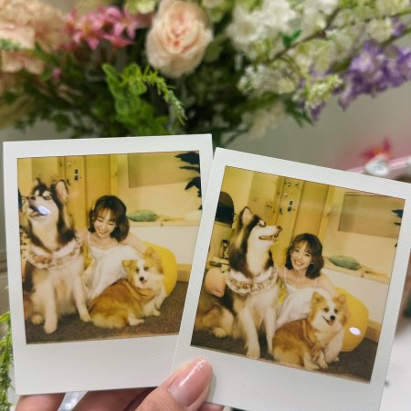 Heart Signal Season 8 (2025)