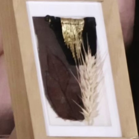 Live Long and Prosper ()