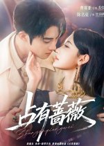 Zhan You Qiang Wei Chinese Drama(2025) photo