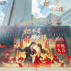 Ta Bu Shi Huai Nv Hai Chinese Drama(2025) photo