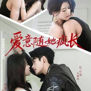 Ai Yi Sui Ta Feng Zhang (2025)