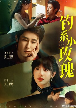 Diao Xi Xiao Mei Gui (2025) poster