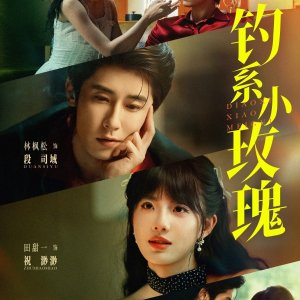 Diao Xi Xiao Mei Gui (2025)