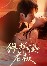 Your Love Chinese Drama(2025) photo