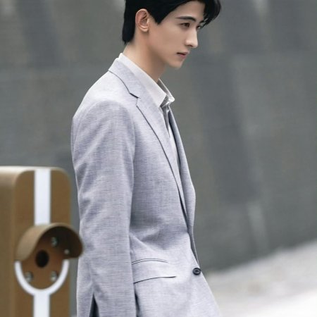 The Vanishing Beauty ()