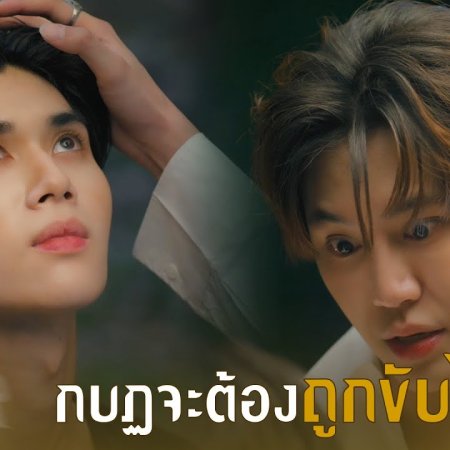 Revamp the Undead Story (2025)