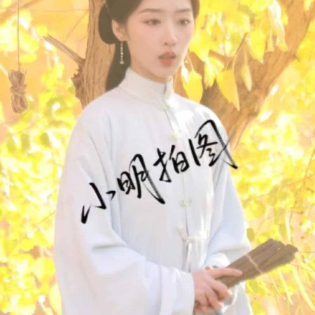 The Road to Splendor ()