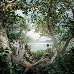 Army on the Tree Japanese Movie photo