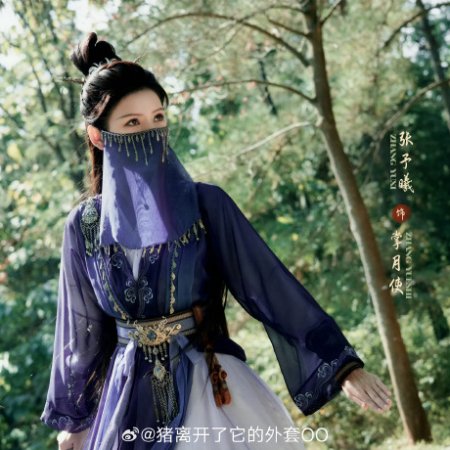 Zhan Zhao Adventures (2025)