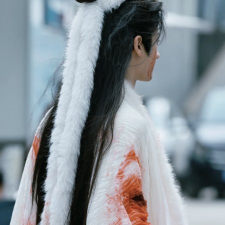 The Legend of Lu Xiaofeng ()