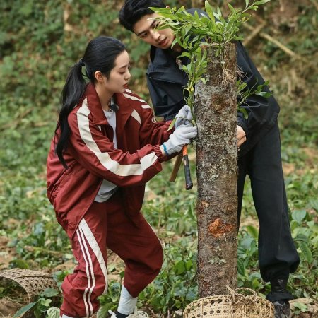 Become a Farmer Season 4 (2026)