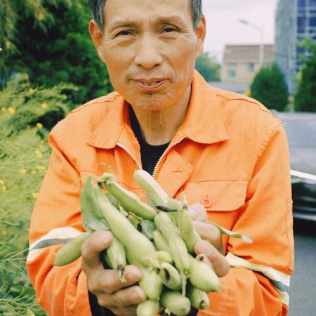Become a Farmer (2023)