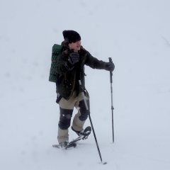 Wild Tripper!! Japanese TV Program(2025) photo