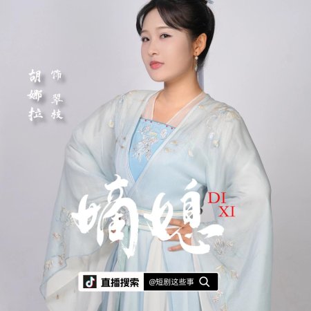 Di Xi: Hou Fu Feng Yun (2025)