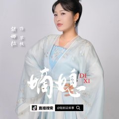 Di Xi: Hou Fu Feng Yun Chinese Drama photo