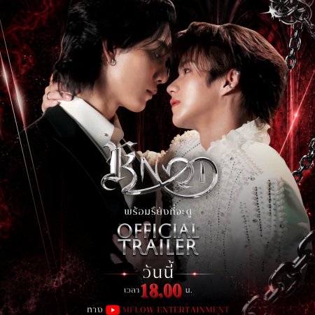 Knot (2026)