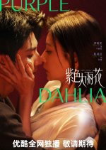 Purple Dahlia Chinese Drama photo