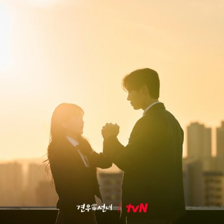 Head over Heels (2025)
