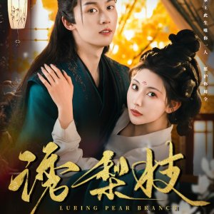 Luring Pear Branch (2025)